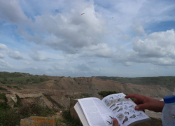 Birdwatching Portugal