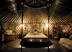 O Homem Verde Wildglamping