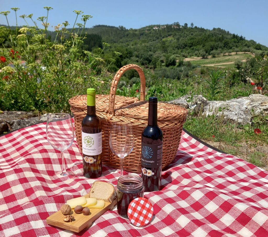 Picnic com produtos locais